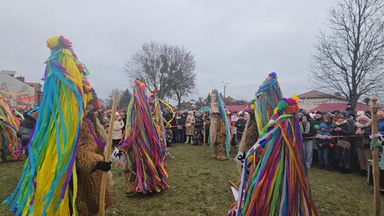 Brodacze ze Sławatycz - galeria zdjęć Brodacze ze Sławatycz - galeria zdjęć