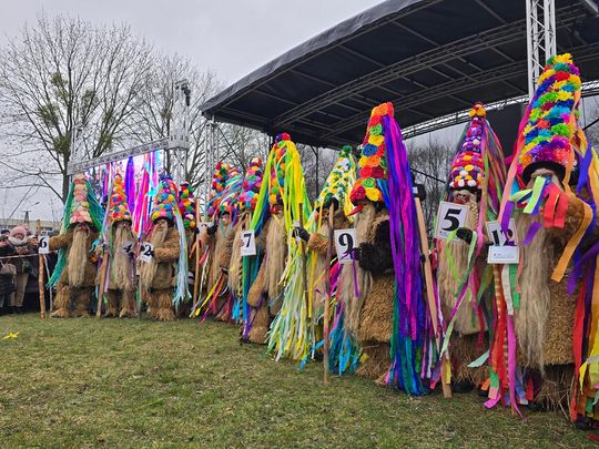 Brodacze ze Sławatycz - galeria zdjęć Brodacze ze Sławatycz - galeria zdjęć