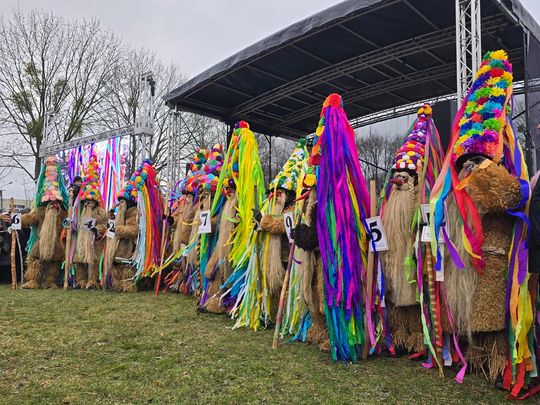 Brodacze ze Sławatycz - galeria zdjęć