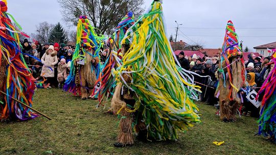Brodacze ze Sławatycz - galeria zdjęć Brodacze ze Sławatycz - galeria zdjęć