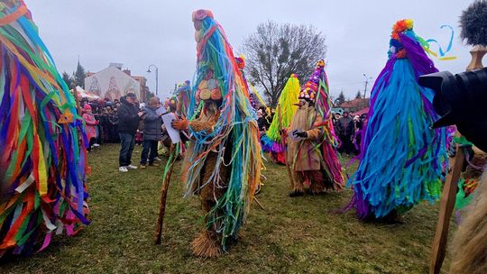 Brodacze ze Sławatycz - galeria zdjęć