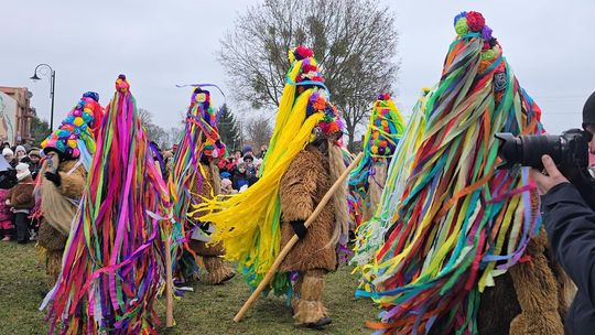 Brodacze ze Sławatycz - galeria zdjęć