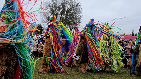 Brodacze ze Sławatycz - galeria zdjęć Brodacze ze Sławatycz - galeria zdjęć
