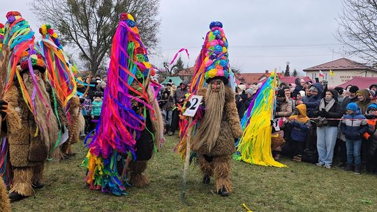 Brodacze ze Sławatycz - galeria zdjęć Brodacze ze Sławatycz - galeria zdjęć