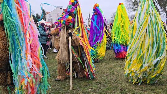 Brodacze ze Sławatycz - galeria zdjęć