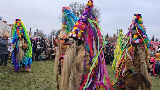 Brodacze ze Sławatycz - galeria zdjęć