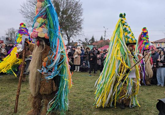 Brodacze ze Sławatycz - galeria zdjęć Brodacze ze Sławatycz - galeria zdjęć