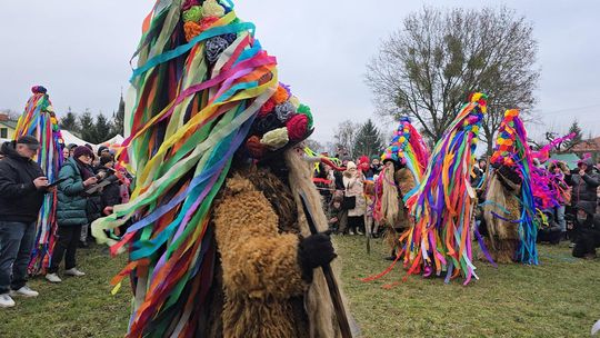 Brodacze ze Sławatycz - galeria zdjęć