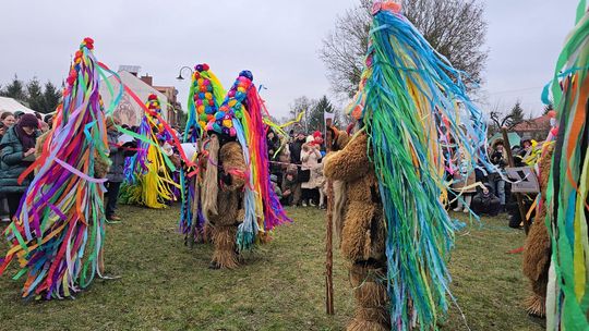 Brodacze ze Sławatycz - galeria zdjęć Brodacze ze Sławatycz - galeria zdjęć