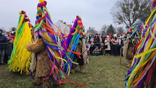 Brodacze ze Sławatycz - galeria zdjęć