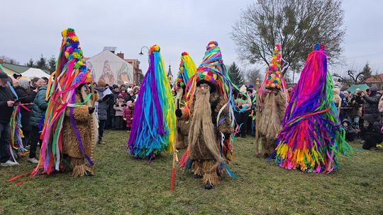Brodacze ze Sławatycz - galeria zdjęć