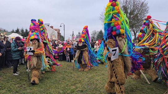 Brodacze ze Sławatycz - galeria zdjęć