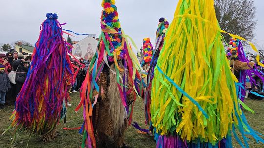 Brodacze ze Sławatycz - galeria zdjęć Brodacze ze Sławatycz - galeria zdjęć