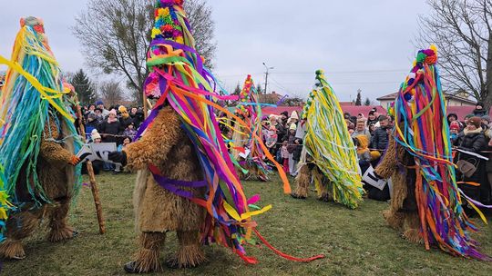 Brodacze ze Sławatycz - galeria zdjęć