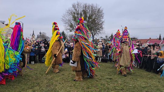 Brodacze ze Sławatycz - galeria zdjęć