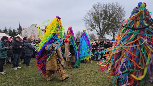 Brodacze ze Sławatycz - galeria zdjęć