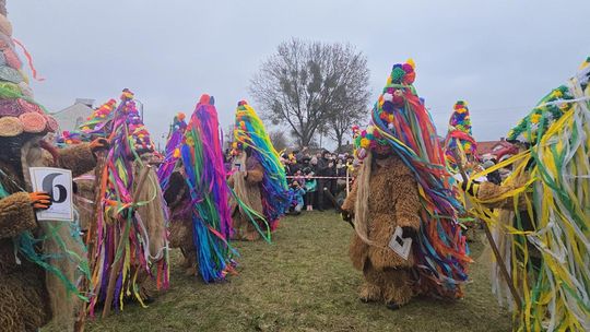 Brodacze ze Sławatycz - galeria zdjęć