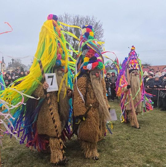 Brodacze ze Sławatycz - galeria zdjęć