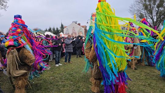 Brodacze ze Sławatycz - galeria zdjęć