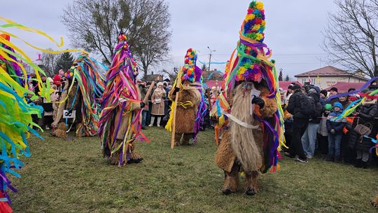 Brodacze ze Sławatycz - galeria zdjęć