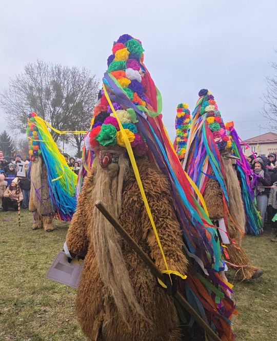 Brodacze ze Sławatycz - galeria zdjęć