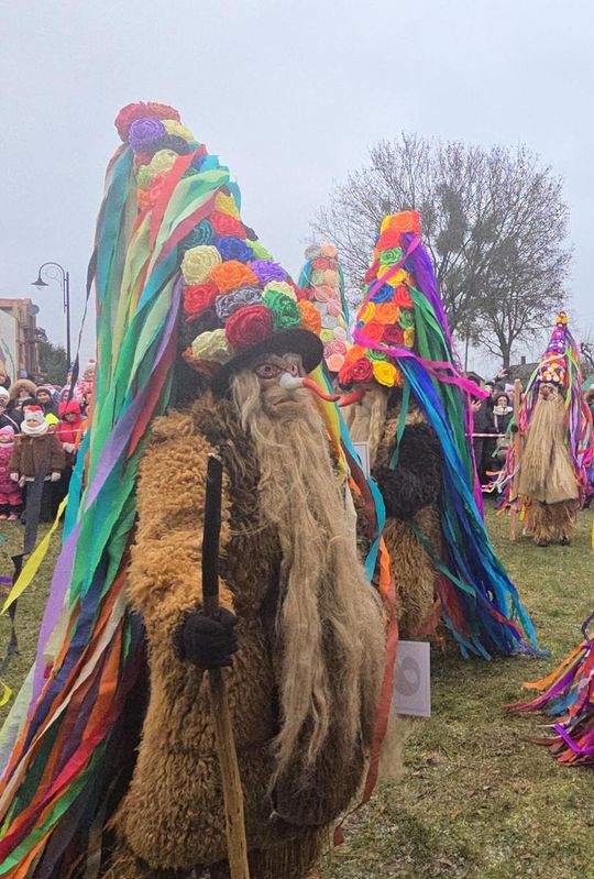 Brodacze ze Sławatycz - galeria zdjęć Brodacze ze Sławatycz - galeria zdjęć