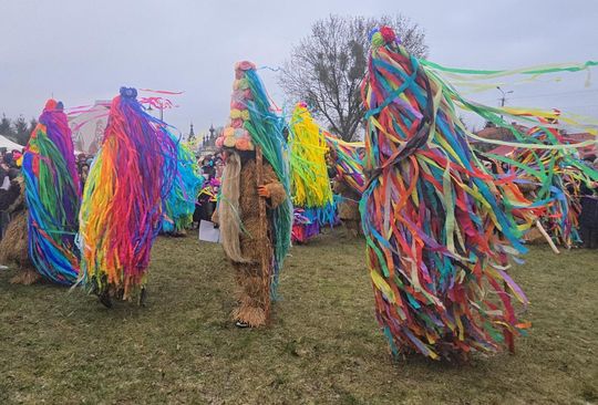 Brodacze ze Sławatycz - galeria zdjęć