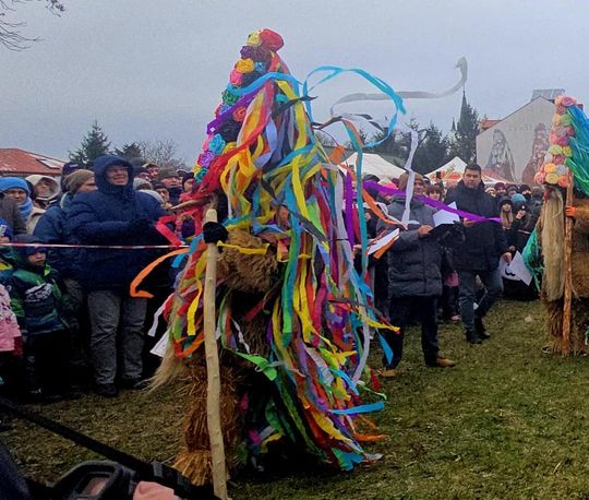 Brodacze ze Sławatycz - galeria zdjęć