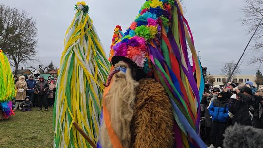 Brodacze ze Sławatycz - galeria zdjęć