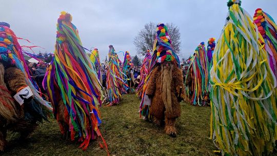 Brodacze ze Sławatycz - galeria zdjęć Brodacze ze Sławatycz - galeria zdjęć