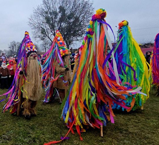 Brodacze ze Sławatycz - galeria zdjęć