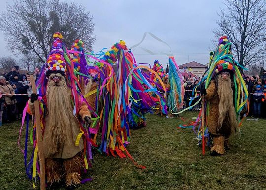 Brodacze ze Sławatycz - galeria zdjęć