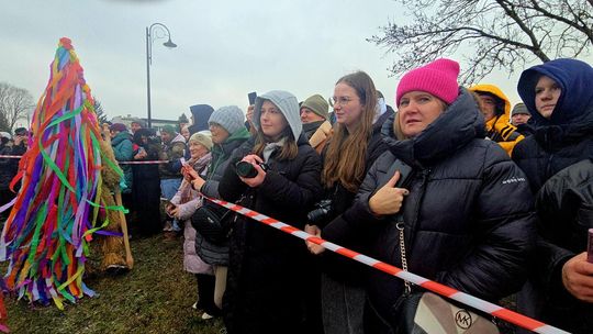 Brodacze ze Sławatycz - galeria zdjęć Brodacze ze Sławatycz - galeria zdjęć