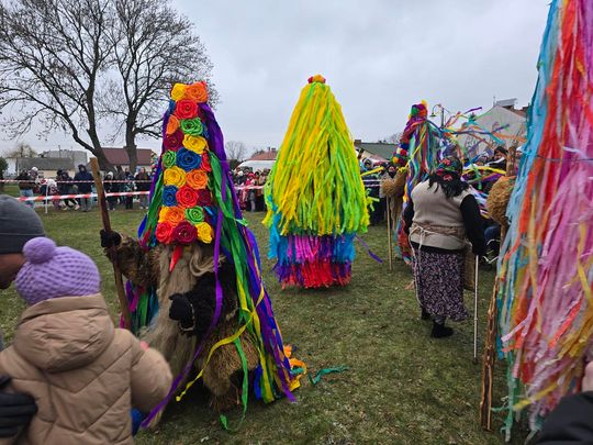 Brodacze ze Sławatycz - galeria zdjęć