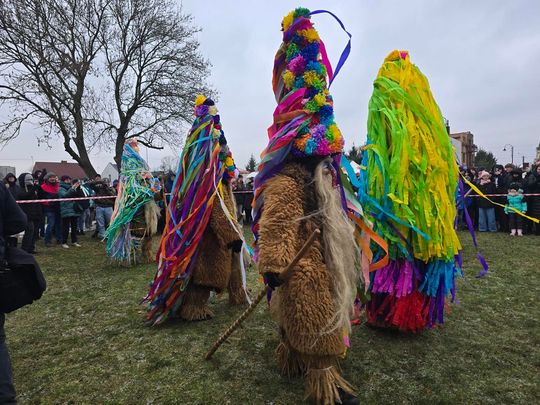 Brodacze ze Sławatycz - galeria zdjęć