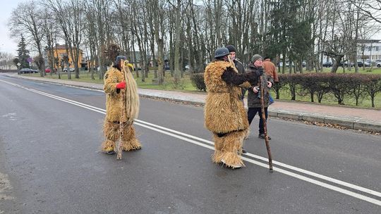 Brodacze ze Sławatycz - galeria zdjęć