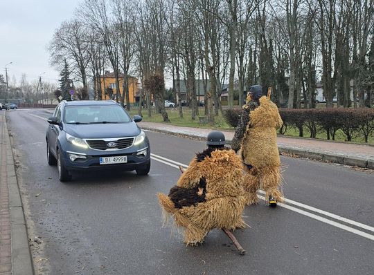 Brodacze ze Sławatycz - galeria zdjęć