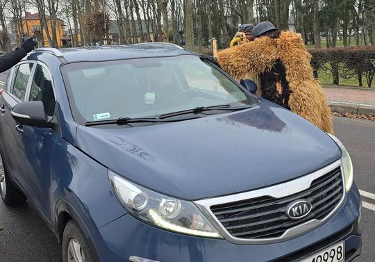 Brodacze ze Sławatycz - galeria zdjęć Brodacze ze Sławatycz - galeria zdjęć