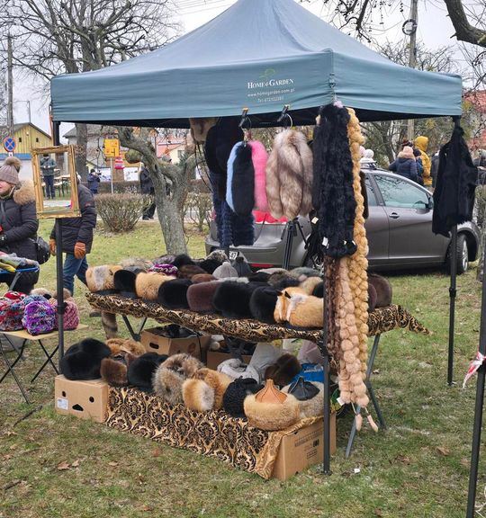 Brodacze ze Sławatycz - galeria zdjęć Brodacze ze Sławatycz - galeria zdjęć