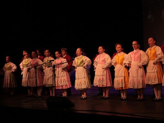 Koncert świąteczny w Hrubieszowskim Domu Kultury - zdjęcia