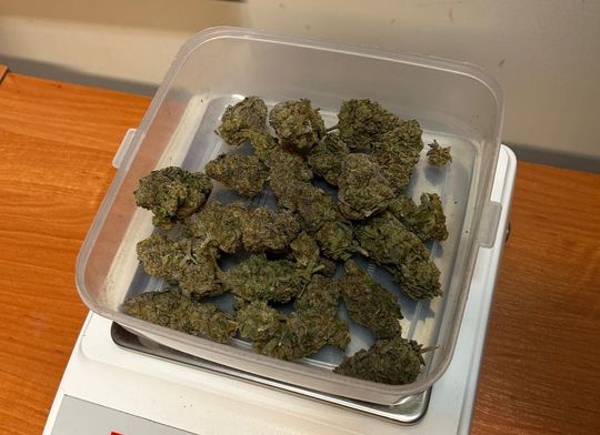 Tomaszów Lubelski: Aresztowani. Za narkotyki grozi im 10 lat więzienia [ZDJĘCIA]