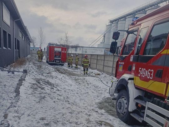 Pożar hali produkcyjnej w Łaszczowie [ZDJĘCIA]