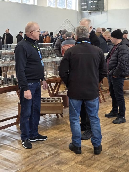 Wystawa Gołębi Wysokolotnych w Tomaszowie Lubelskim [GALERIA ZDJĘĆ]