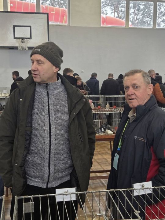 Wystawa Gołębi Wysokolotnych w Tomaszowie Lubelskim [GALERIA ZDJĘĆ]