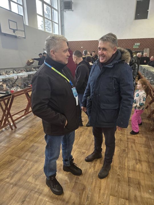 Wystawa Gołębi Wysokolotnych w Tomaszowie Lubelskim [GALERIA ZDJĘĆ]