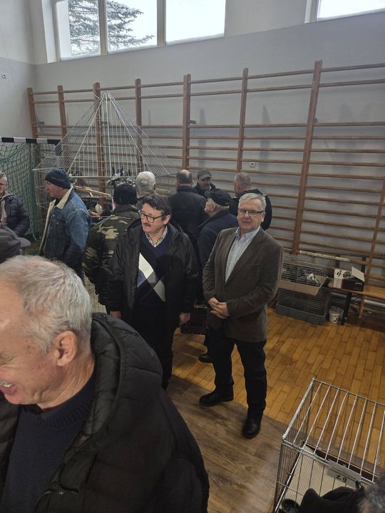 Wystawa Gołębi Wysokolotnych w Tomaszowie Lubelskim [GALERIA ZDJĘĆ]