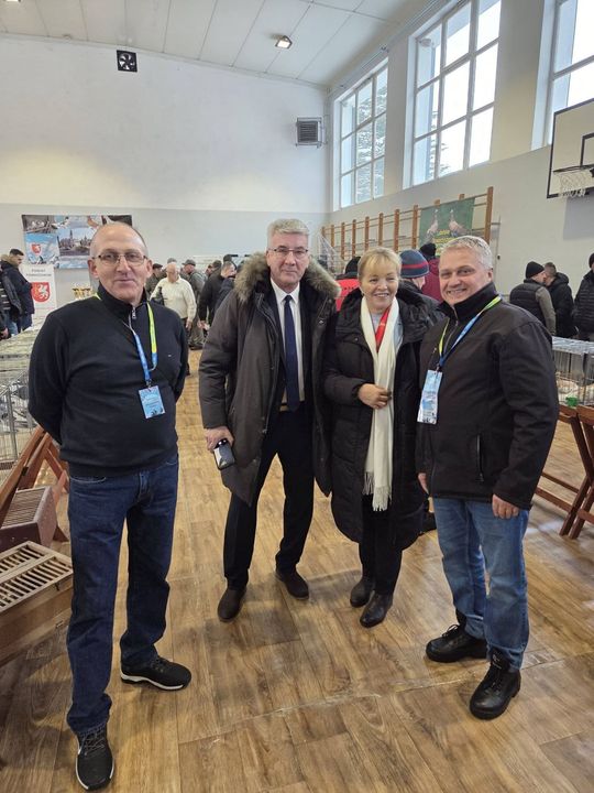 Wystawa Gołębi Wysokolotnych w Tomaszowie Lubelskim [GALERIA ZDJĘĆ]