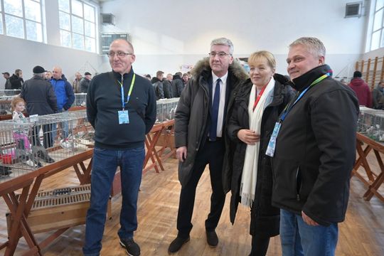 Wystawa Gołębi Wysokolotnych w Tomaszowie Lubelskim [GALERIA ZDJĘĆ]