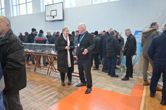 Wystawa Gołębi Wysokolotnych w Tomaszowie Lubelskim [GALERIA ZDJĘĆ]