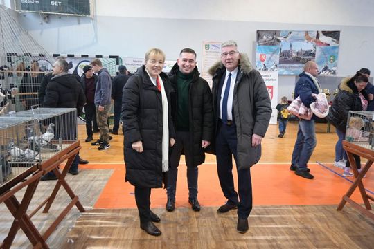 Wystawa Gołębi Wysokolotnych w Tomaszowie Lubelskim [GALERIA ZDJĘĆ]